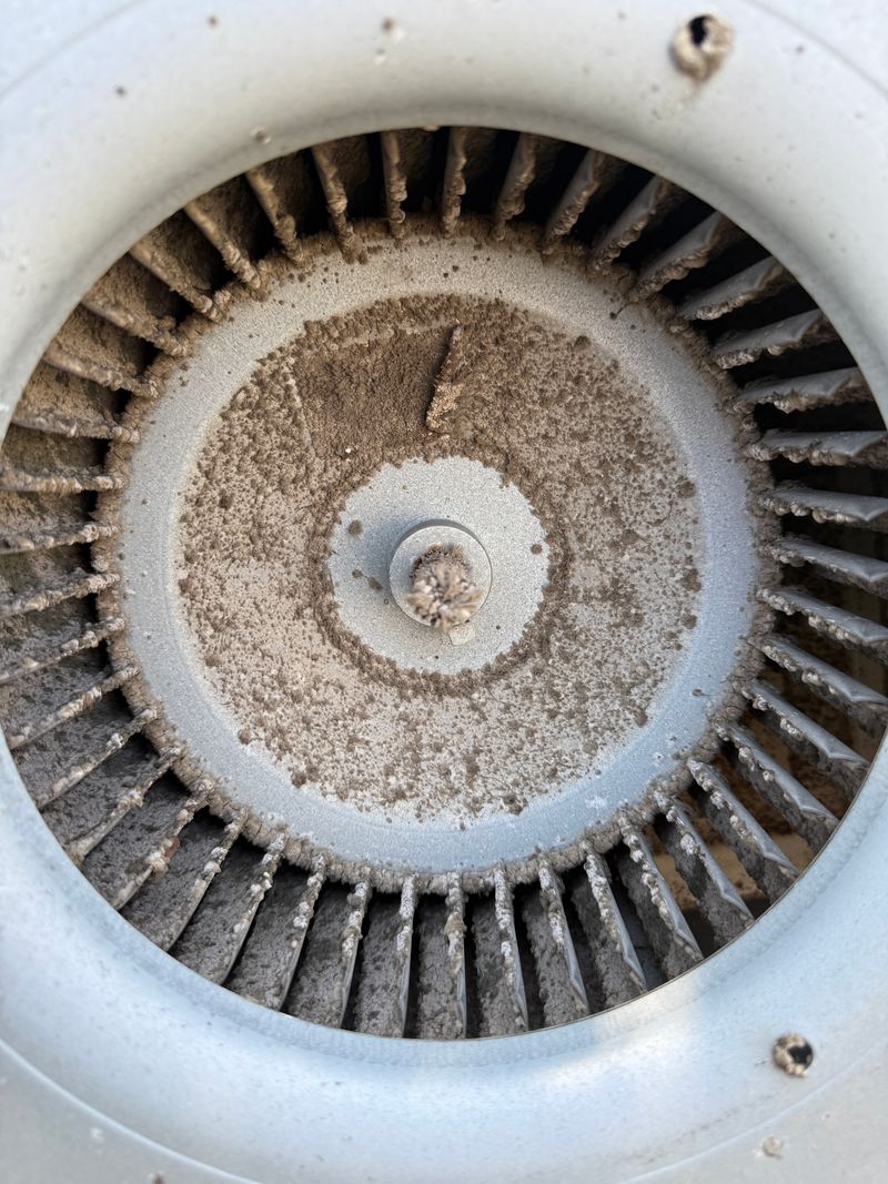 Closeup of a dirty and clogged blower wheel removed from an HVAC system during maintenance