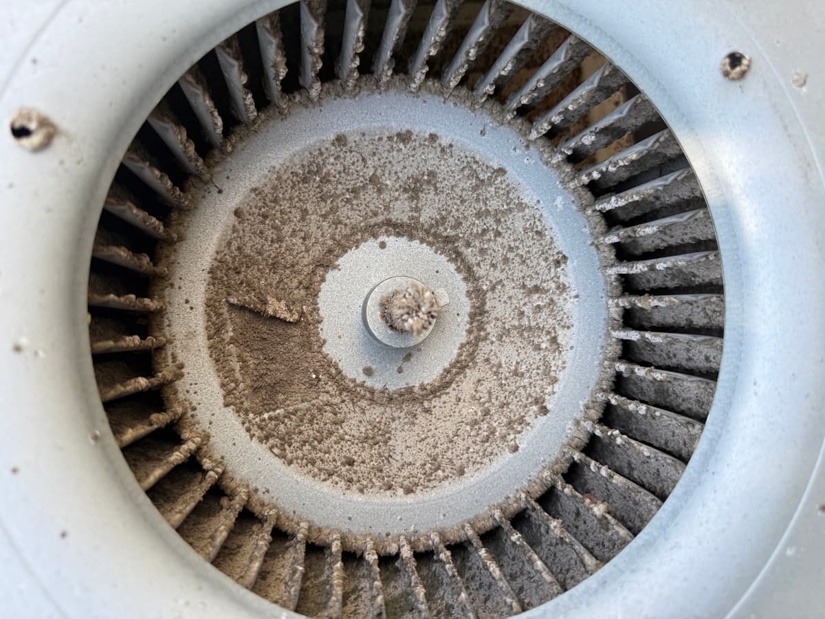 Frozen Evaporator Coil: Causes, Signs, and What to Do